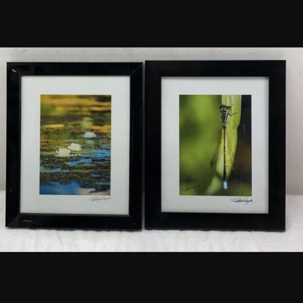 SIGNED Set of Two Framed Nature Photographs 10" X 12" - Dragonfly & Lilypads